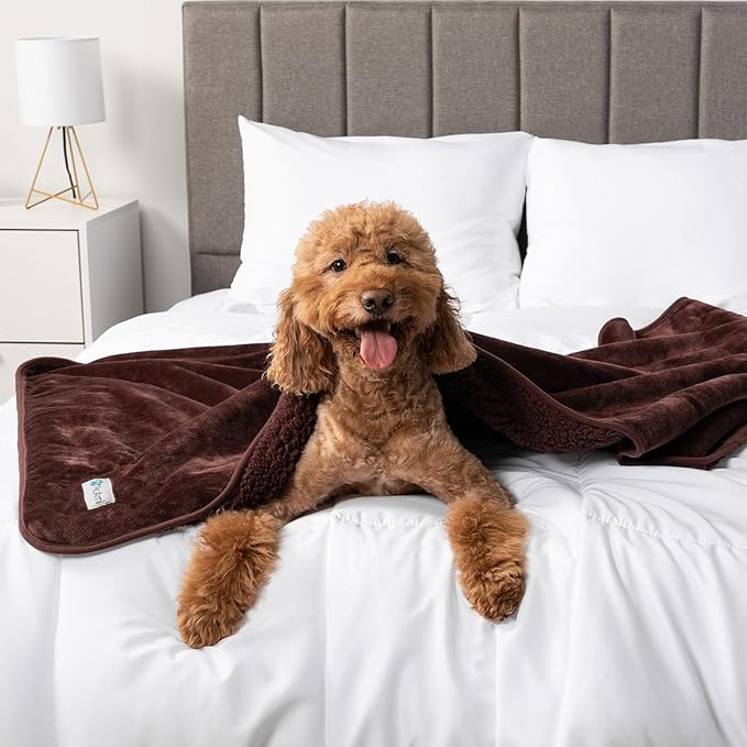 PetAmi Waterproof Dog & Cat Blanket for Medium Large Dogs, Pee Proof & Reversible, Soft Dog Pee Crate Cover, Washable, 60x80 Brown