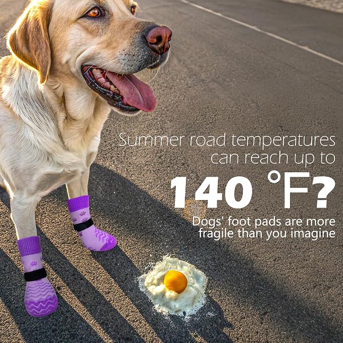 EXPAWLORER 6Pcs Anti Slip Dog Socks to Prevent Licking Paws, Dog Shoes for Hot Pavement Double Sides Dog Boots & Paw Protectors Booties for Hardwood Floors with Grippers Small Medium Large Senior Dogs