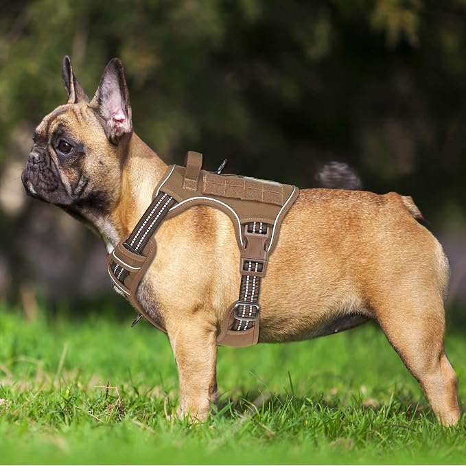 Beebiepet Heavy Duty Tactical Dog Harness for Small Dogs, No Pull Adjustable Pet Harness Reflective Service Training Easy Control Pet Vest Military K9 Working Dog Harnesses- Medium, Brown