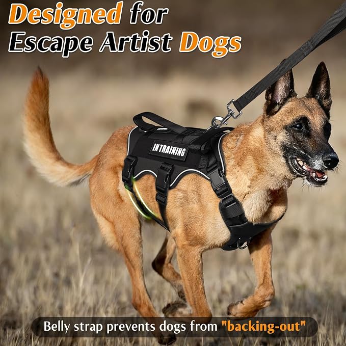 Escape Proof Dog Harness with Double Handle+4 Removable Patches | Service Working Molle Harness with Double Handle for Medium Dogs, Tactical Pet Reflective Vest for Walking Hiking Hunting