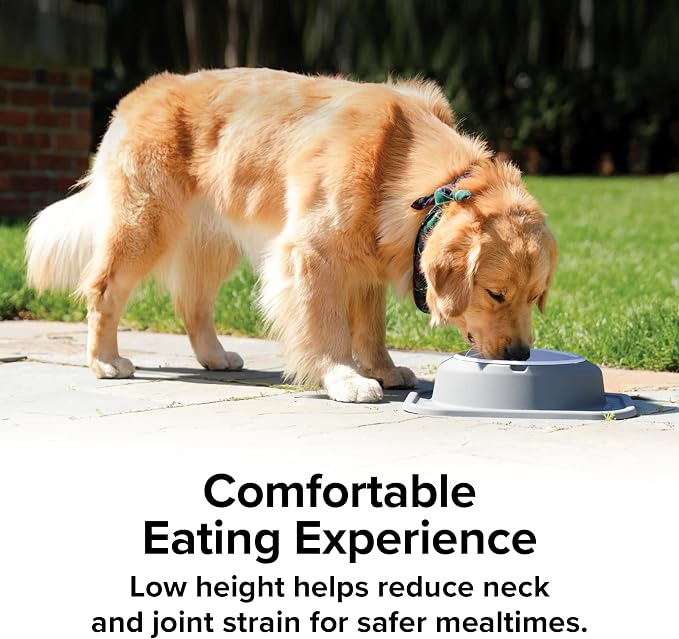 WeatherTech Single Low Pet Feeding System - Heavy-Duty Dog & Cat Food/Water Bowl - 8 oz (1 Cup) Tan (SL0801TN)