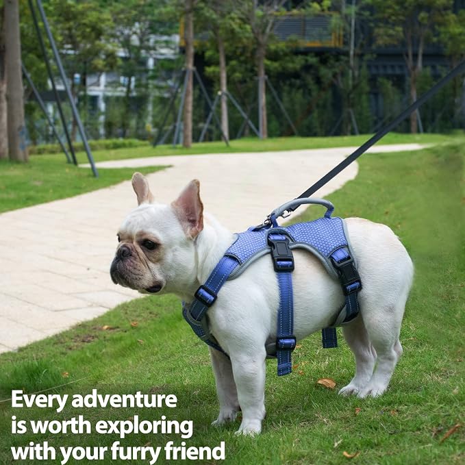 Escape Proof Dog Harness, Dachshund Harness, Reflective Dog Harness with Handle, Durable,Adjustable Vest for Small Medium Large Dogs Walking, Training, and Running Gear (Technicolor Blue,L)
