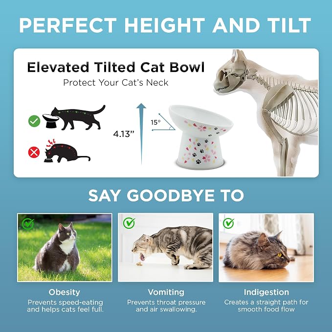 Necoichi Raised Cat Food Bowl – Ceramic Elevated 15° Tilted Cat Bowl for Whisker & Neck Fatigue, Dishwasher Microwave Safe – Non-Slip & Anti Vomiting Ergonomic Design (Sakura, Regular Tilted)