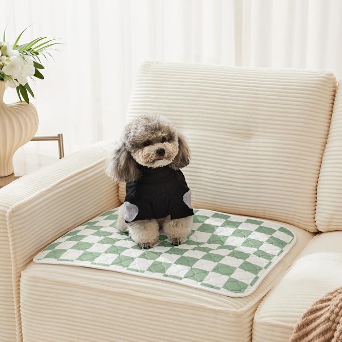2 Pack Sage Green Checkered Washable Pee Pads for Dogs, Checkered Reusable Dog Pee Pads, for Puppy Playpen, Crate, Whelping Box, Potty Training, Cute Aesthetic Absorbency, Leak-Proof Non-Slip