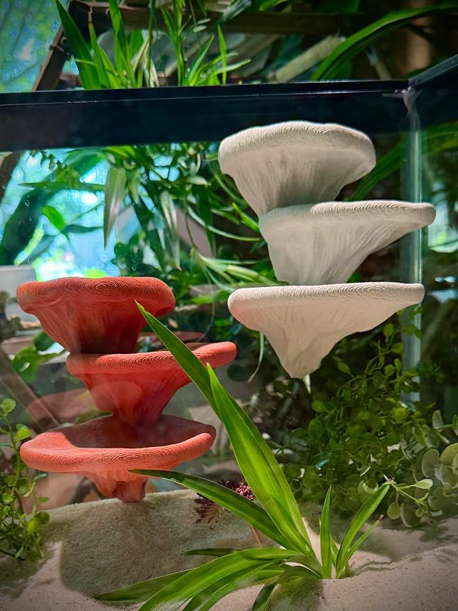 Mushroom Ledge for Terrarium – Climbing & Resting Platform with Suction Cups (Terracotta, 6''x4.5''x5.25'')