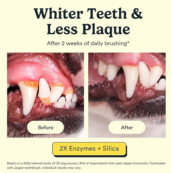 Jasper Dog Toothpaste Double Enzymatic - Plaque Remover for Teeth, Whitens Teeth, Improves Bad Breath Natural Pet Toothpaste, Bacon Flavor 3.5oz