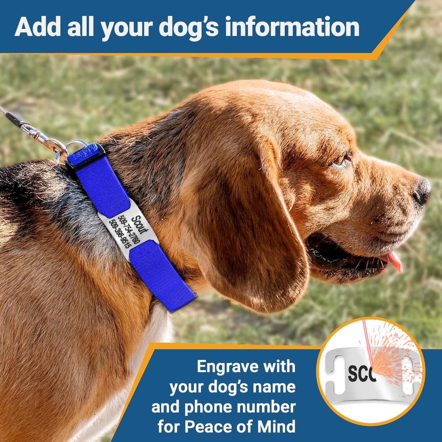 GoTags Personalized Dog Collar with Nameplate, Adjustable Dog Collar with Custom Engraved Slide On Pet ID Tag in Stainless Steel, Silent, No Noise Dog Tag for Large Medium and Small (Orange, Small)