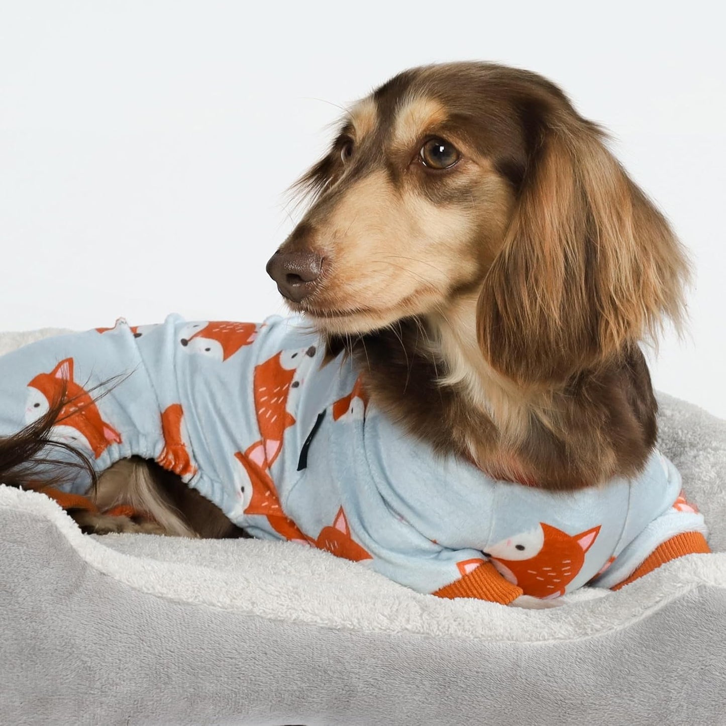 Fitwarm Funny Fox Dog Pajamas, Warm Dog Onesie, Dog Clothes for Small Dogs Girl Boy, Lightweight Velvet, Pet Outfit, Gray, Orange, Large