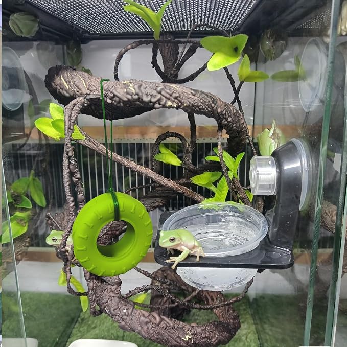 JSLZF 2PCS Tree Frog Habitat Frog Tank Accessories Terrarium Decor Frog Climbing Swing with Suction Cup Hook Green Rubber Climbing Toy for Frogs