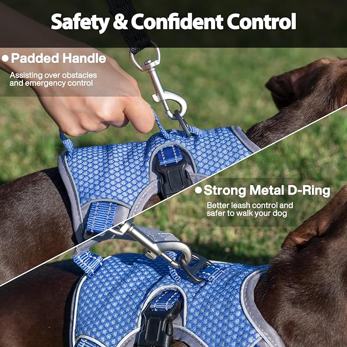 Escape Proof Dog Harness, Dachshund Harness, Reflective Dog Harness with Handle, Durable,Adjustable Vest for Small Medium Large Dogs Walking, Training, and Running Gear (Technicolor Blue,XL)