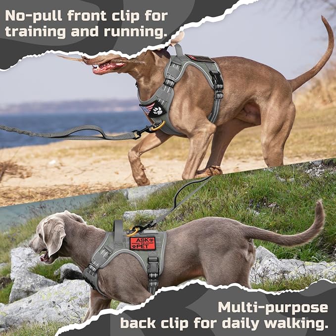 rabbitgoo Tactical Dog Harness for X-Large, No Pull Military Service Vest | Molle & Handle, Heavy Duty, Adjustable, Reflective Straps, Easy Control for Training Walking, Grey, X-Large