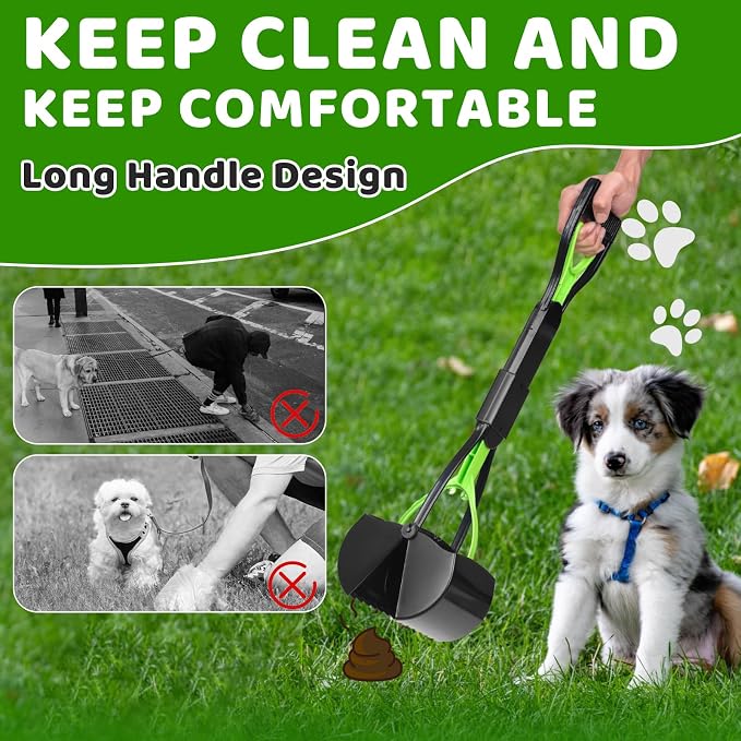 Dog Poop Trash Can Outside - 20L/5Gal Dog Poop Scooper Set, Green | Outdoor Trash Can with Lid and Removable Inner Bin,Dog Waste Trash Can with 100 Bags & Storage Box and Metal Rake & Tray