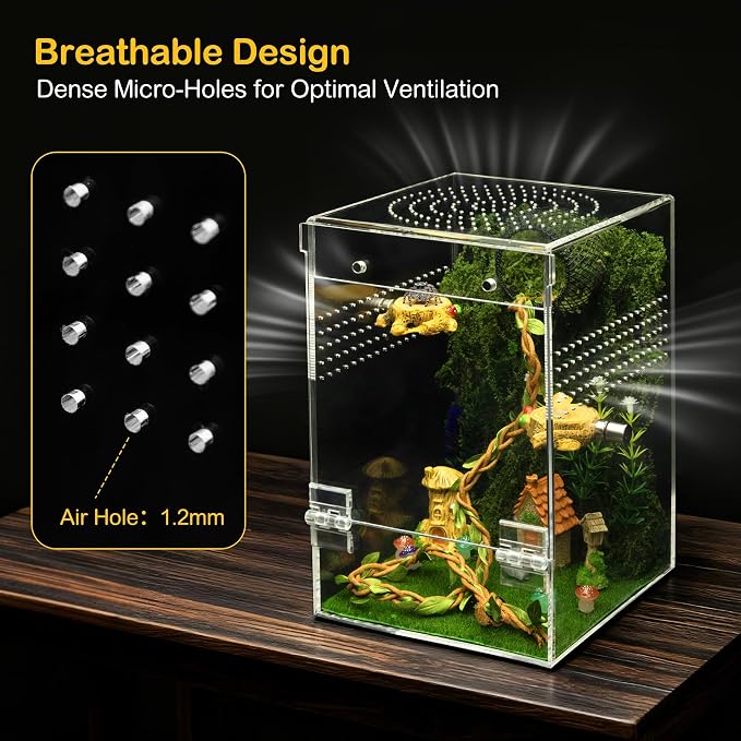 Jumping Spider Enclosure Starter Kit,Escape Proof Forest Terrarium | Praying Mantis Terrariums,Transparent Acrylic Complete Bug Habitat,All In One Arboreal Tarantula Cribs Cage,Insect Container