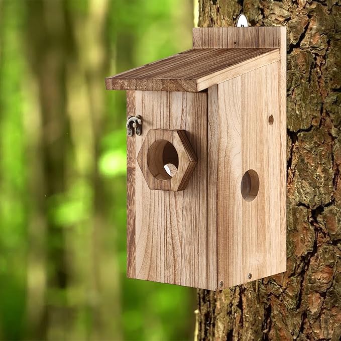 Bird House for Outside –Hanging Birdhouse for Bluebird Finch Swallow Wren Chickadee, Decorative Outdoor Bird Nesting Box with 3 Size Holes, Assembly Required (2)