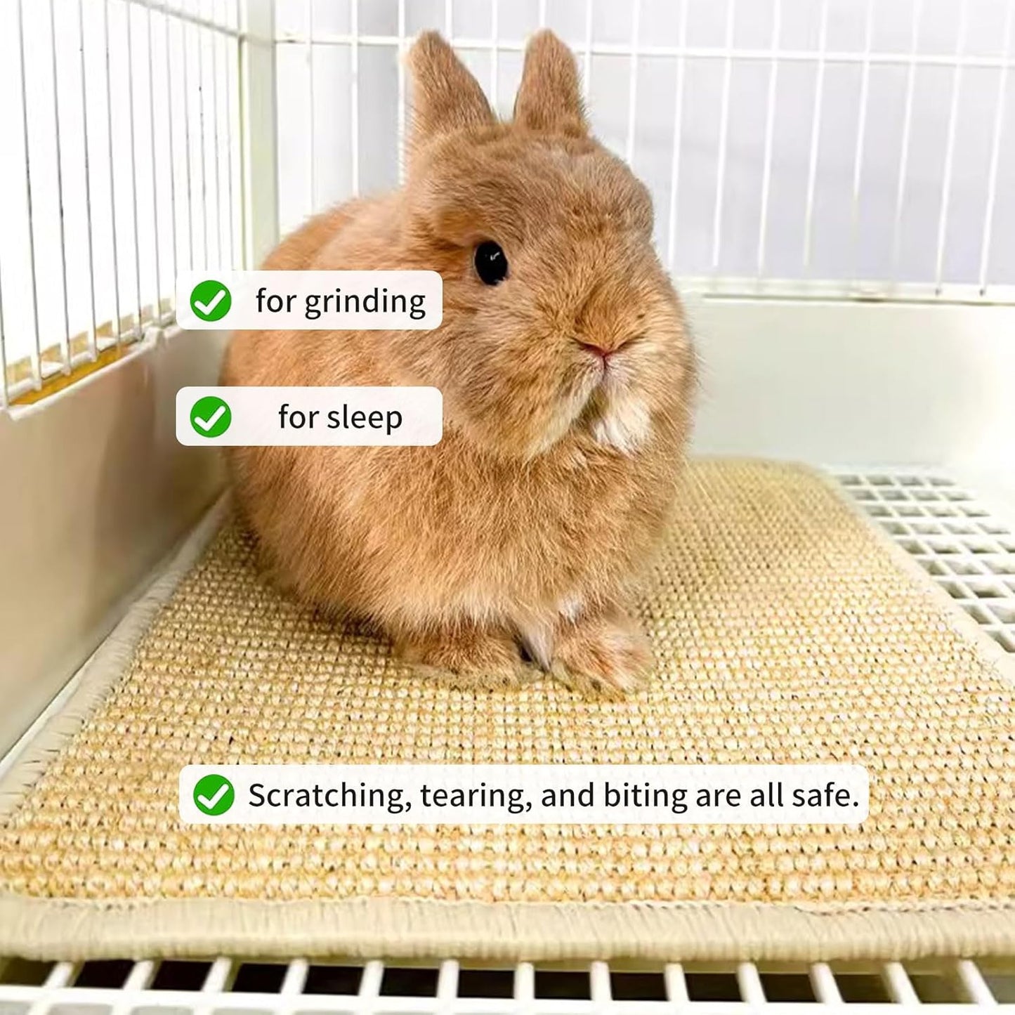 Oncpcare 6PCS Natural Bunny Scratch Mat - Rabbit Scratching Pad for Claws and Teeth Care - Chew Toys for Cages, Pet Bedding for Biting, Sleeping, Nesting, 16x12
