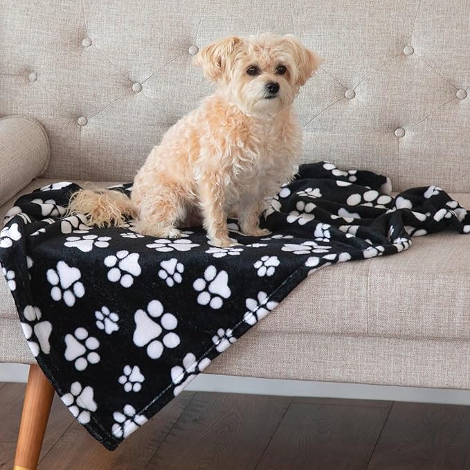 Pet Dog Cat Blanket Ultra Soft Cozy Fleece Paw Print Design Machine Washable Durable for Crates Beds Sofas Travel (Decadent Paws, Medium)