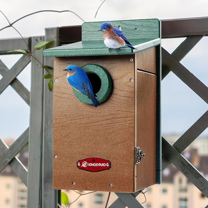 Kingsyard Recycled Plastic Bird House for Outdoor - Durable Nesting Box with Clear View Panel & Predator Guard for Bluebird Wren Swallow Finch, Green & Brown