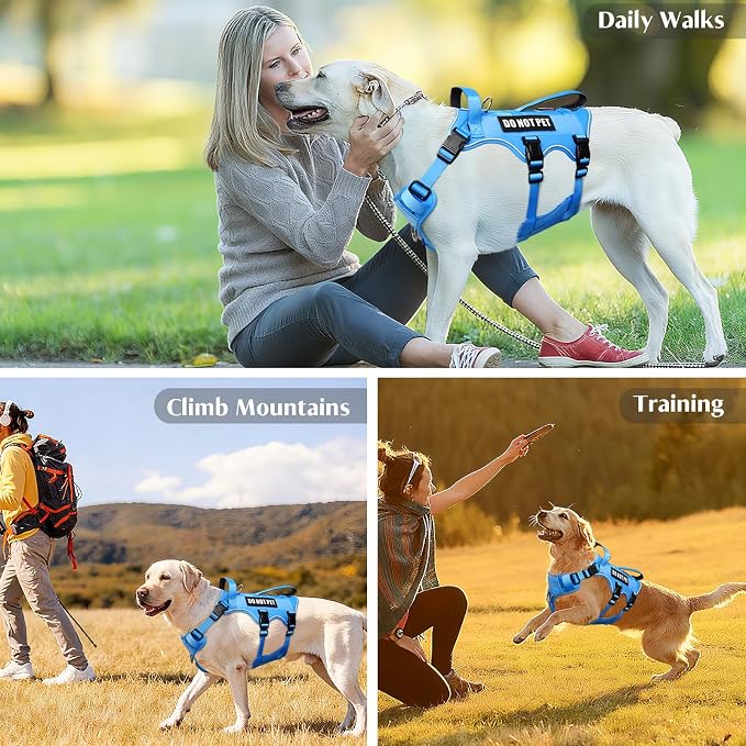 Escape Proof Dog Harness with Double Handle+4 Removable Patches | Service Working Molle Harness with Double Handle for Large Dogs, Tactical Pet Reflective Vest for Walking Hiking Hunting
