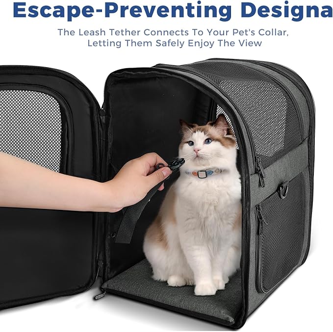 Apollo Walker Pet Carrier Backpack for 4-18lb Cats and Dogs, Puppies, Safety Features and Cushion Back Support | for Travel, Hiking, Outdoor Use (Gray)