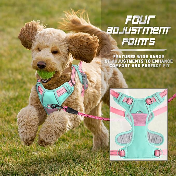 BARKBAY Dog Harness No Pull for Small Sized Dog Front Back Clips,Dog Vest | Soft Padded No Choke With Handle,Easy On&Off,Adjustable Reflective For Walking Training Running(Cool Mint & Baby Pink,XS)