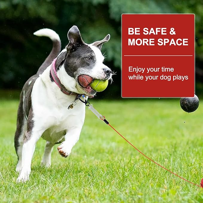 Snagle Paw Dog Tie Out Cable 15FT,Heavy Duty Dog Leads for Yard with Shock Absorbing Spring & Swivel Hook,Leash Cable for Outdoor Camping,Dog Line for Small Large Dogs,withstand 1000LBS Break Strength