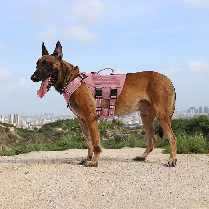 ICEFANG Tactical Mesh Dog Harness for Medium Dogs,Reflective Dog Molle Vest | Summer-Cooling, Control Handle,Adjustable,Front Hook,3 Leash Clips,Soft Padded,No Pull,Pink,Medium
