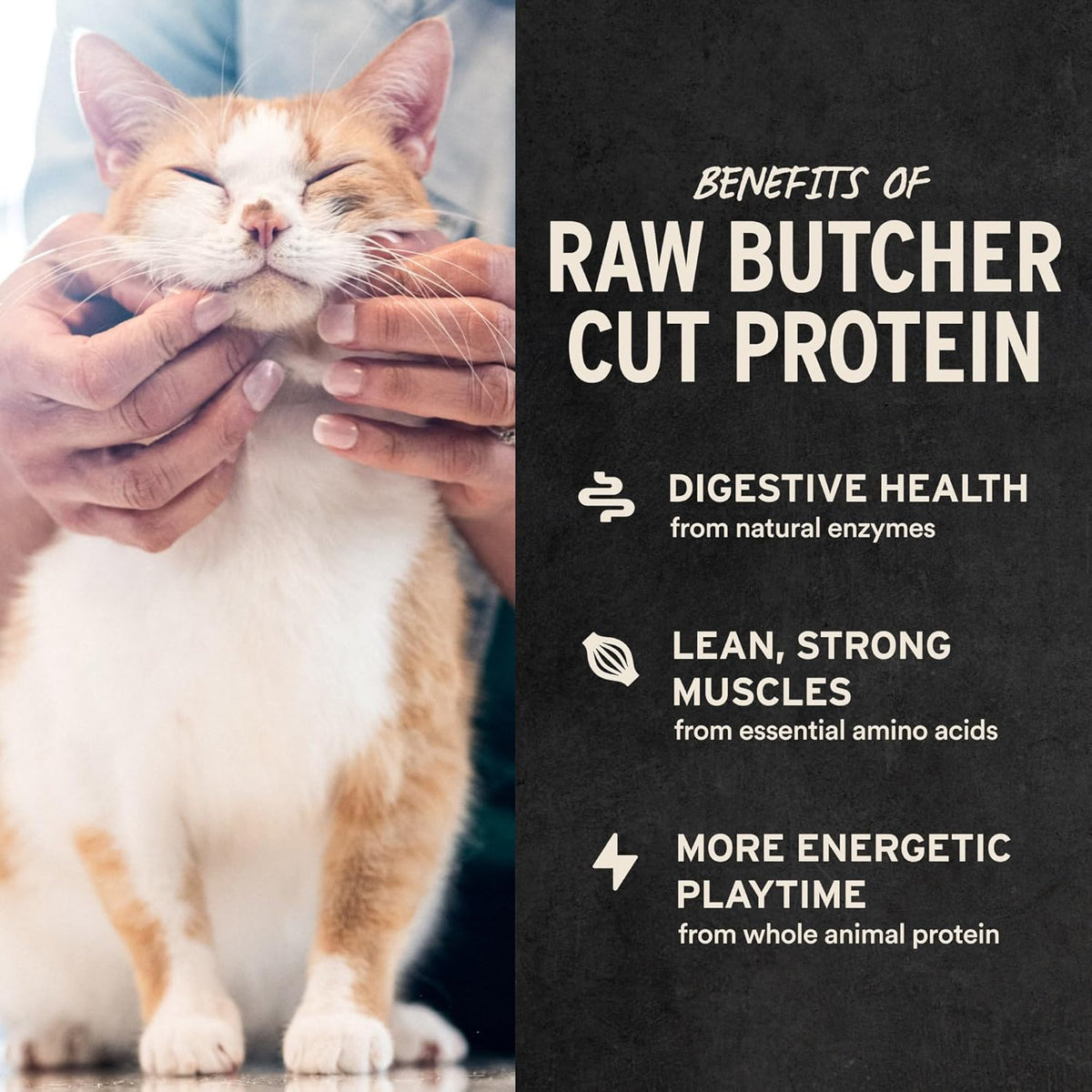 Vital Essentials Minnows Cat Treats, 1 oz | Freeze-Dried Raw | Single Ingredient | Grain Free, Gluten Free, Filler Free
