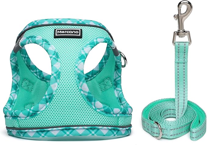 Mercano Soft Mesh Dog Harness and Leash Set, No-Chock Step-in Reflective Breathable Lightweight Easy Walk Vest Harnesses with Safety Buckle for Small Dogs, Cats (Light Green, S)