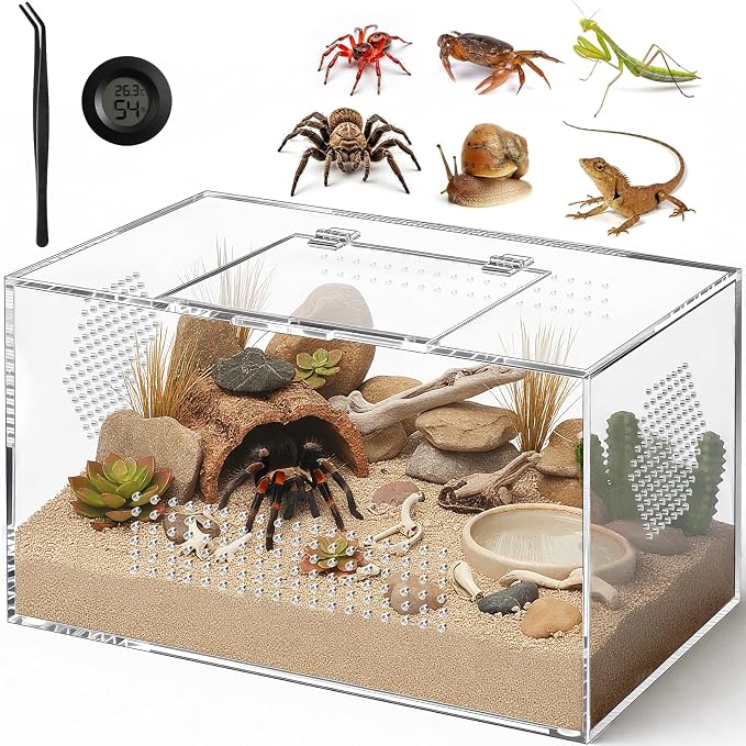 Pre-Assembled Jumping Spider Enclosure, All-Side Ventilation | 12"x7"x7" Escape-Proof Spider Terrarium Kit with Magnetic Door for Tarantula, Mantis, Snail, Tweezer & Temp Sticker Included