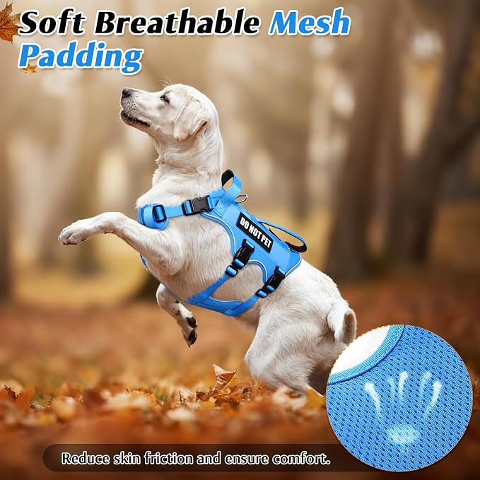 Escape Proof Dog Harness with Double Handle+4 Removable Patches | Service Working Molle Harness with Double Handle for Small Dogs, Tactical Pet Reflective Vest for Walking Hiking Hunting