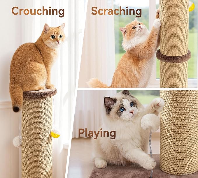 5-Inch Sisal Cat Scratching Post, 36" Tall Scratch Tower, Brown | 6.5" Top Perch, 20.8×15.9" Stable Base, Durable Scratcher, For Indoor Cats