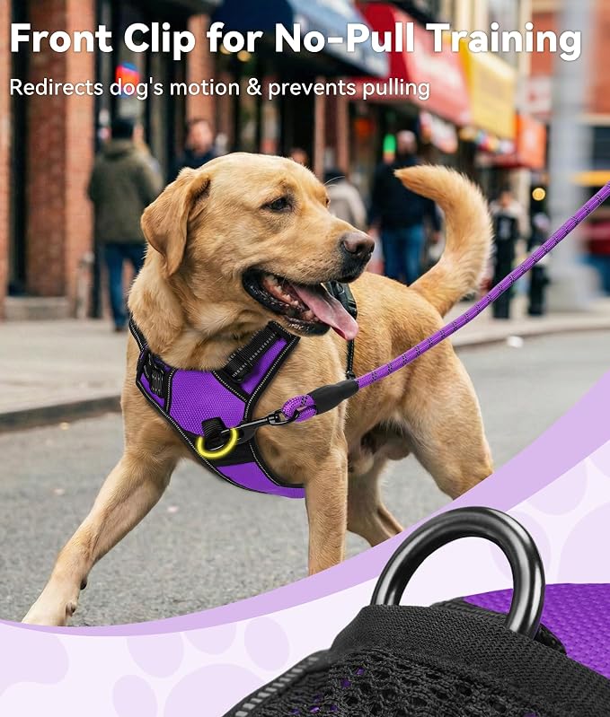 Joytale No Pull Dog Harness for Extra Large Dogs, Front Clip, Purple | Grab Handle for Instant Control, Padded & Adjustable Vest, Sturdy Metal D-Rings, for Safe Training & Daily Walking