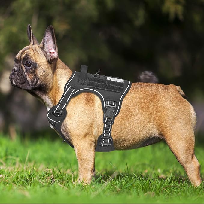 Beebiepet Heavy Duty Tactical Dog Harness for Small Dogs, No Pull Adjustable Pet Harness Reflective Service Training Easy Control Pet Vest Military K9 Working Dog Harnesses- Medium, Black