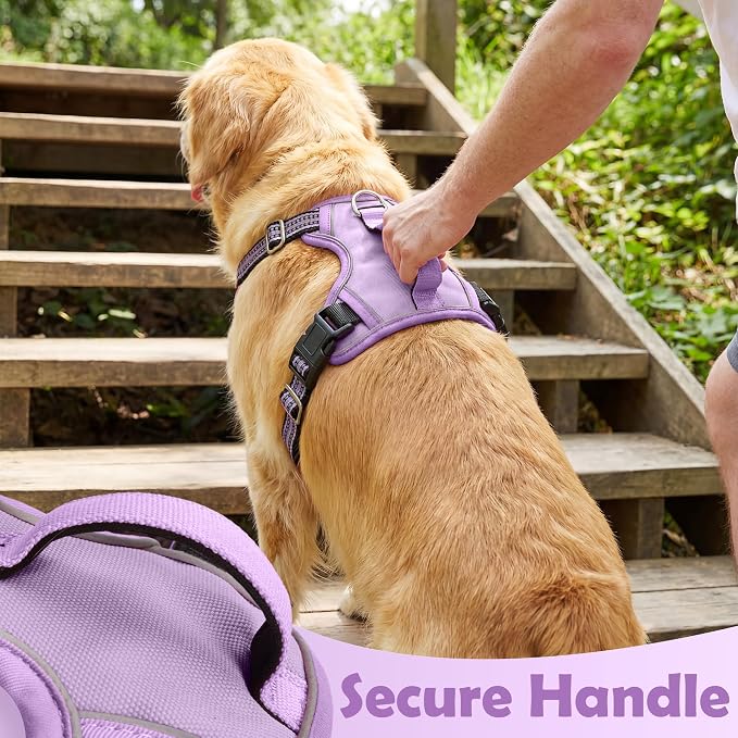 Dog Harness No Pull, Adjustable Pet Vest Harness, Super Soft Material with Vertical Handle Easy Control, Reflective Night Walking, 2 Leash Clips for XLarge Dogs, Purple, XL