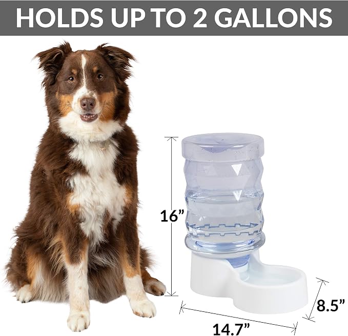 PetFusion H2O Gravity Pet Water Dispenser. Durable 2.5 Gallon Waterer Feeder. Automatic Station for Cats & Small, Medium, Large Dogs, Transparent