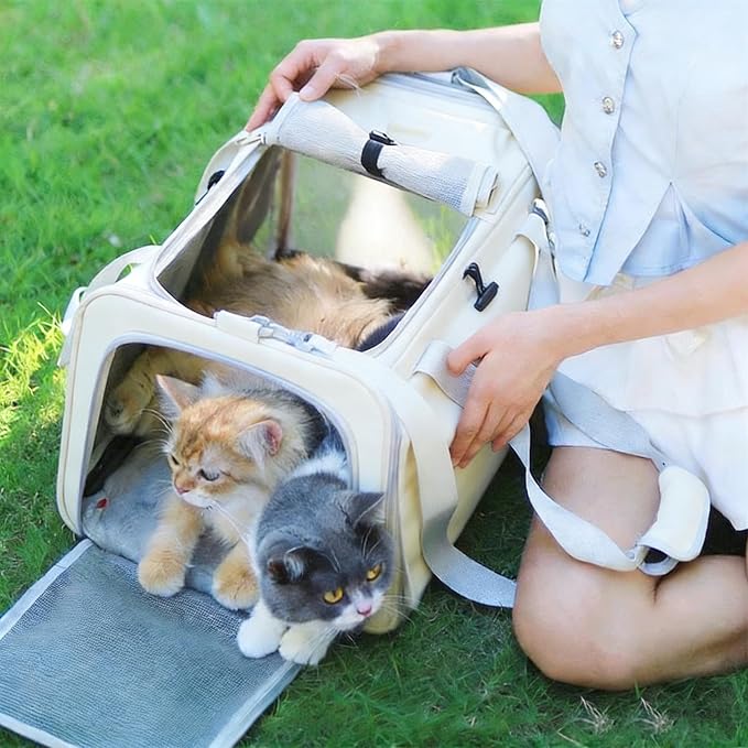 Pet Carrier Bag for Cats & Small Dogs, Airline Approved Travel Cat Carrier with Mesh Windows, Shoulder Strap & Removable Mat, Foldable Design for Home & Outdoor Trips