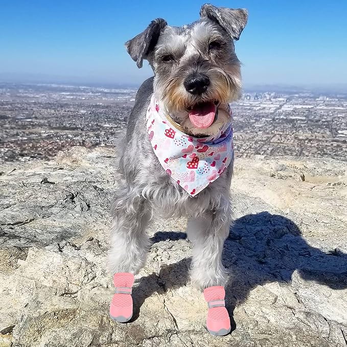 QUMY 4PCS Dog Shoes for Small Dogs, Hot Pavement Summer Puppy Dog Boots & Paw Protectors with Soft Anti-Slip Rubber Sole, Mesh Breathable Dog Booties for Hardfloors, Walking Running Pink Size 5