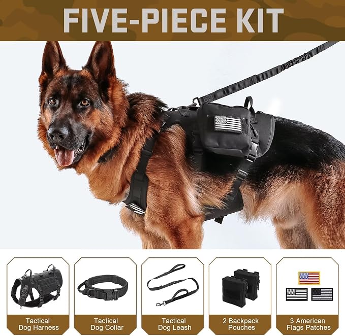 Forestpaw Tactical Dog Harness Collar Bungee Leash Set,M,Black | Adjustable Fits 22-35" Chest,30-80 lbs,No Pull Control Military Style,Quick Release Buckle,Walking Training for Medium Dogs