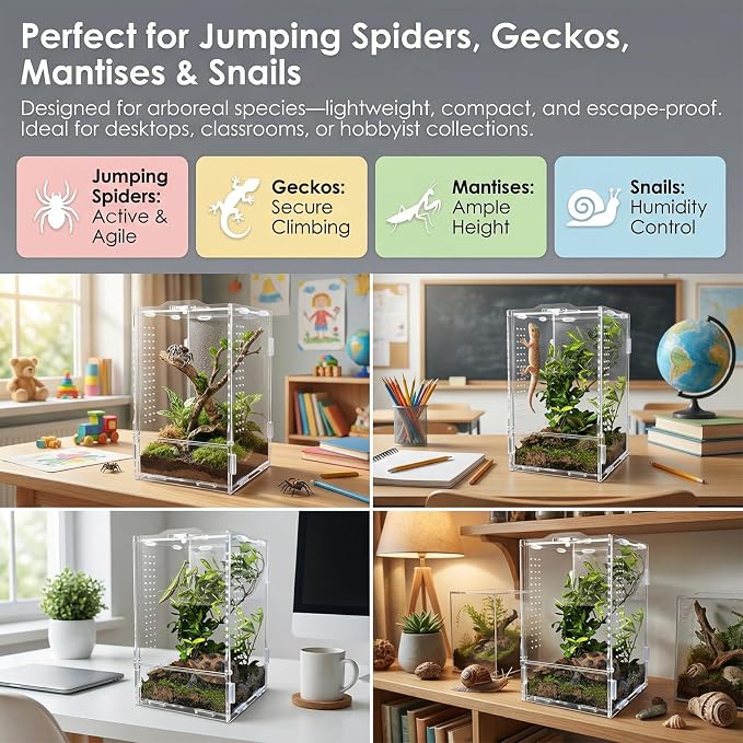 Acrylic Jumping Spider Enclosure: Arboreal Tarantula Enclosure | Front Opening Reptile Terrarium for Gecko Praying Mantis Snail - Lockable Dual-Side Ventilation Bug Habitat for Desk Decor