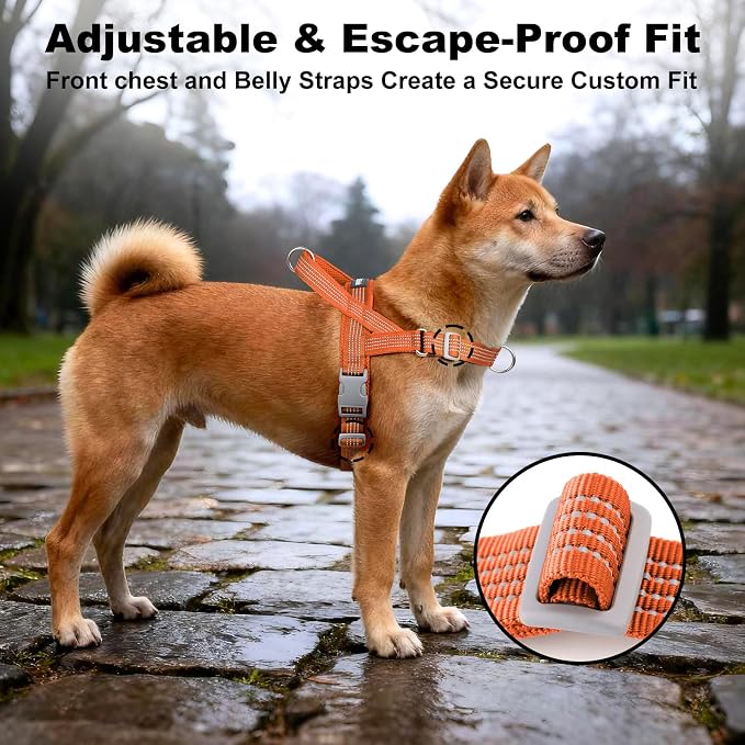 No Pull Dog Harness with Handle, Adjustable Soft Mesh Padded Vest | Reflective Walking Harness with Front Clip for Small Medium Large Dogs, Quick Fit No Escape for Training, Orange, M