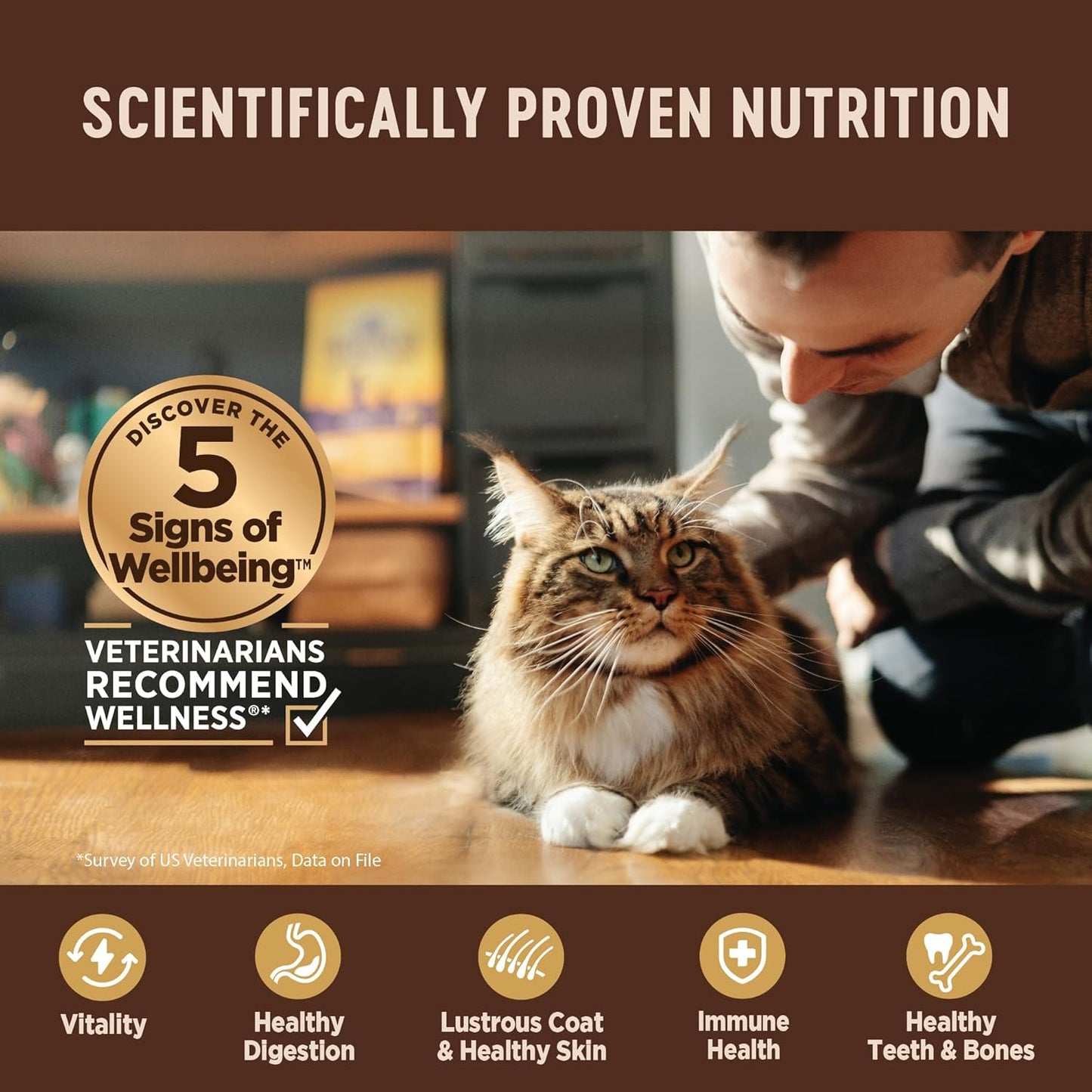 Wellness CORE Tiny Tasters Minced Adult Wet Cat Food, Natural, Protein-Rich, Grain Free, 1.75-Ounce Pouch, 12 Pack, (Tuna & Shrimp)