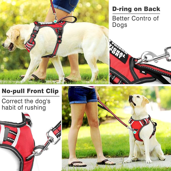 Service Dog Vest No Pull Dog Harness with 7 Dog Patches, Reflective Pet Harness with Durable Soft Padded Handle for Training Small, Medium, Large, and Extra-Large Dogs (Small, Red)