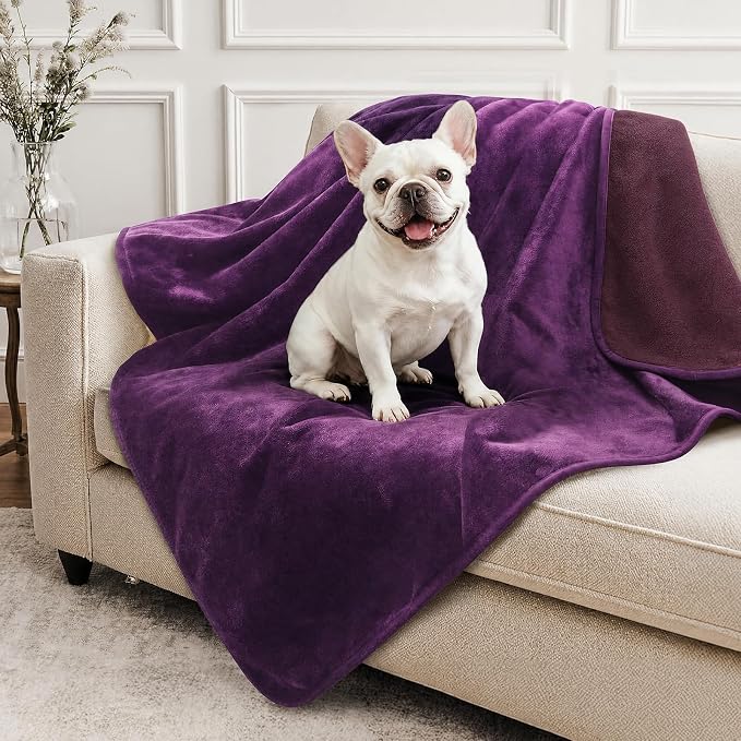 LOOBANI Waterproof Dog Blanket for Small Dogs, Pet Blanket 30" x 40" Purple | Double Side Liquid-Proof, Puppy Blanket for Dog Cat Bed, Crate, Playpen, Reversible Soft Flannel Couch Cover Throw