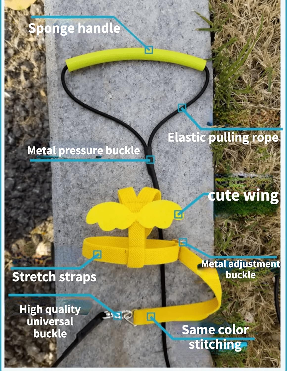 Pet Parrot Bird Harness Leash Adjustable Bird Flying Harness Traction Rope with Cute Wing for Parrots Pigeons Budgerigar Lovebird Cockatiel Mynah Outdoor Training Toy (S, Blue)