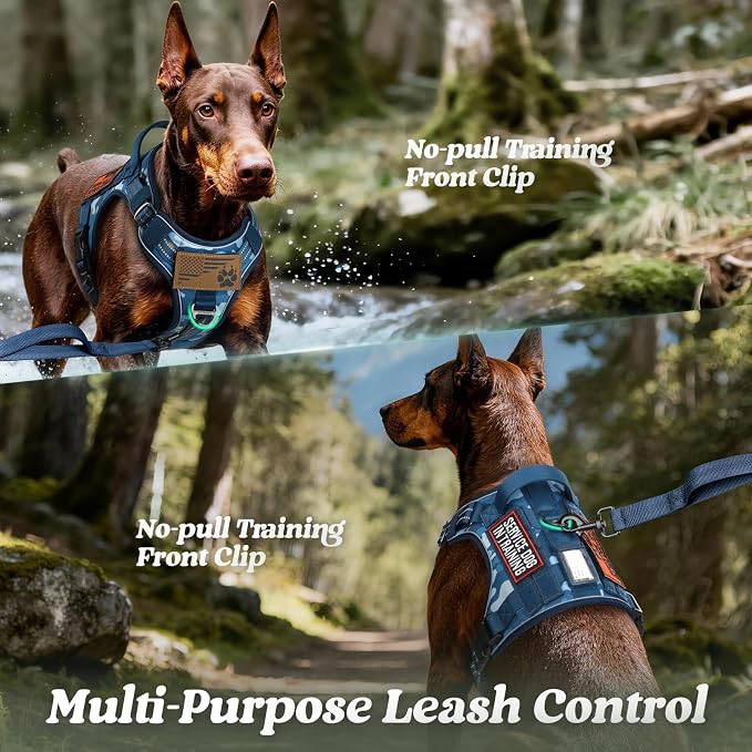 rabbitgoo Tactical Dog Harness for Small Dogs, No Pull Service Pet Vest | Military Molle System & Easy Control Handle, Adjustable and Reflective for Walking and Training, Blue Camo, Small