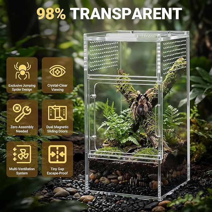 Jumping Spider Enclosure - Acrylic Terrarium Habitat for Spiders, Tarantulas, Snail, Mantis, Lizard, and Small Reptiles, Magnetic Doors (3x3x6 inch)