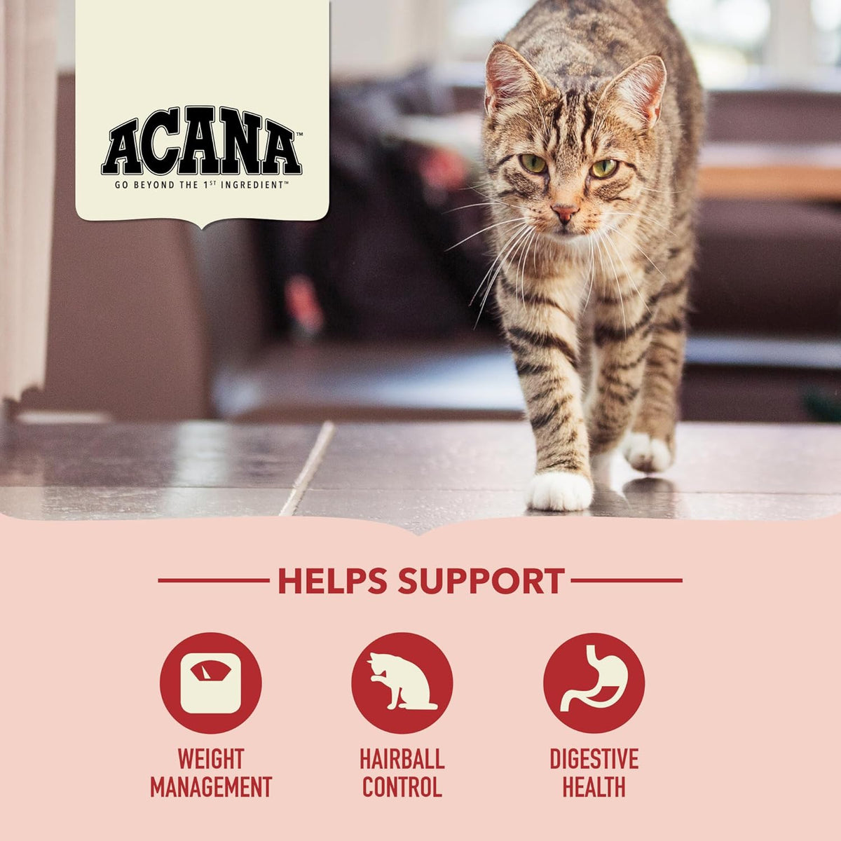 ACANA Dry Cat Food for Indoor Cats Indoor Entrée Chicken Turkey Whole Herring and Rabbit 10lb Bag