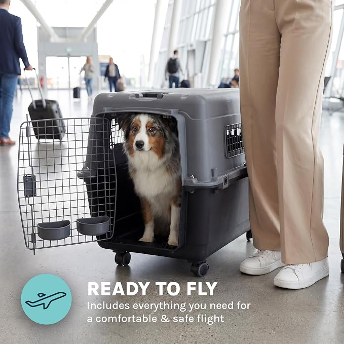 SportPet Airline Compliant LARGE 31.5" Travel Dog Kennel- Durable Plastic Airline Pet Carrier w/ Removable Wheels & Food Bowls, Collapsible Indoor/Outdoor Dog Kennel, Dogs up to 28"L & 20"H-Dark Gray