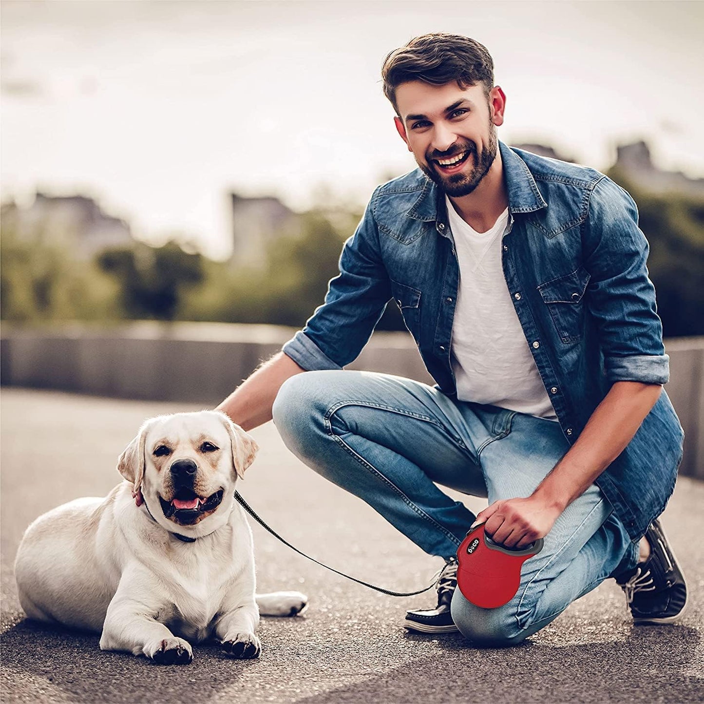 DOCO Retractable Dog Leash for Large Dogs (Length - 13ft, Weight - Upto 22lb) Reflective Tape Lead with Stop and Lock Control, Tangle Free 360° Swivel Snap & Anti-Slip Grip (Red, Small)