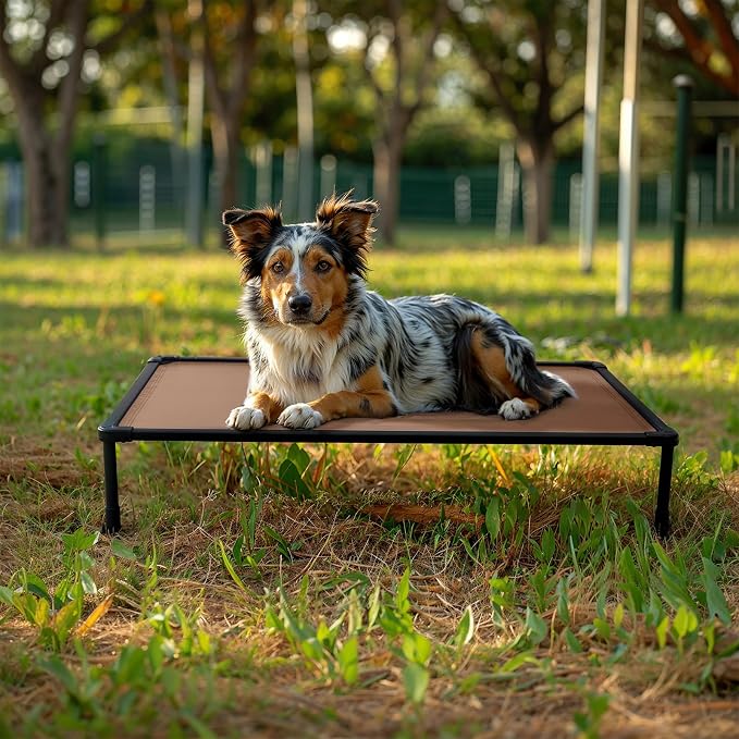Veehoo Chew Proof Elevated Dog Bed, Indestructible Raised Dog Bed for Aggressive Chewers, Waterproof Dogs Training Platform for Indoor or Outdoor Use, 35 x 22 inches, Brown
